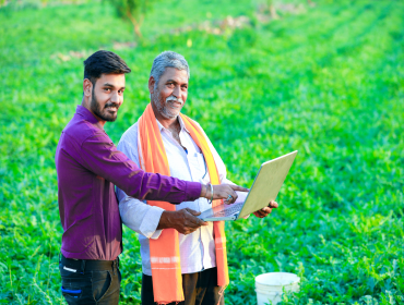 Bring to the table win-win survival